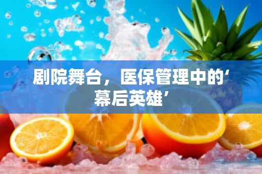 剧院舞台，医保管理中的‘幕后英雄’
