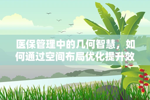 医保管理中的几何智慧，如何通过空间布局优化提升效率？