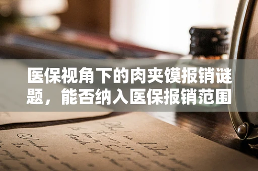 医保视角下的肉夹馍报销谜题，能否纳入医保报销范围？
