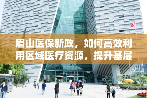 眉山医保新政，如何高效利用区域医疗资源，提升基层医疗服务质量？