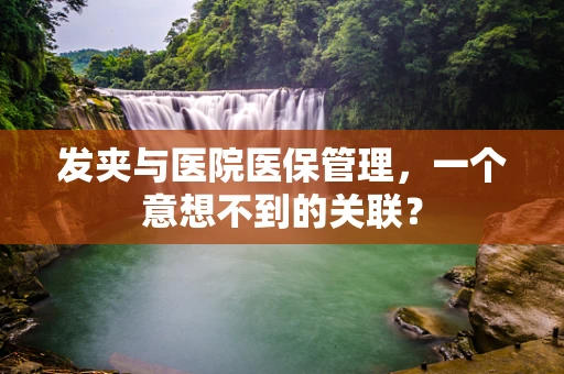 发夹与医院医保管理，一个意想不到的关联？