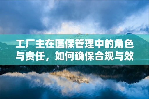 工厂主在医保管理中的角色与责任，如何确保合规与效率的平衡？