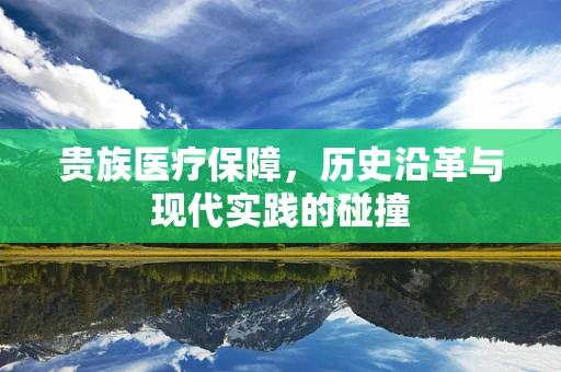 贵族医疗保障，历史沿革与现代实践的碰撞