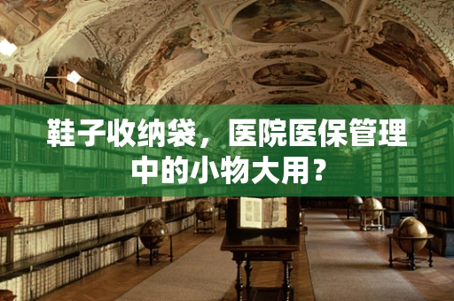 鞋子收纳袋，医院医保管理中的小物大用？