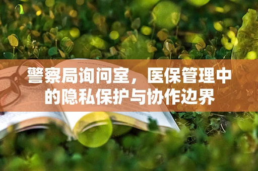警察局询问室，医保管理中的隐私保护与协作边界