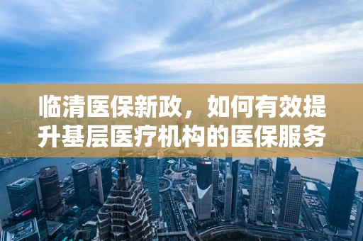 临清医保新政，如何有效提升基层医疗机构的医保服务效率？