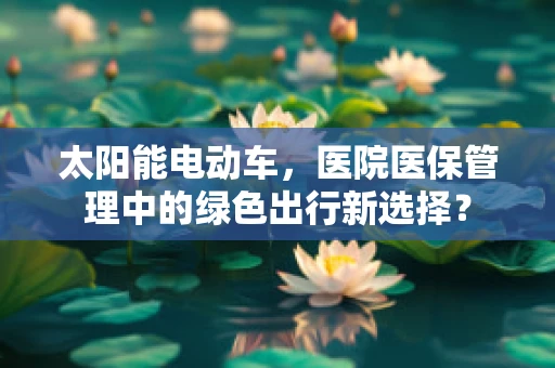 太阳能电动车，医院医保管理中的绿色出行新选择？