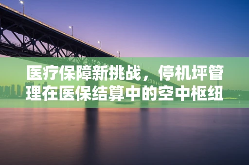 医疗保障新挑战，停机坪管理在医保结算中的空中枢纽角色