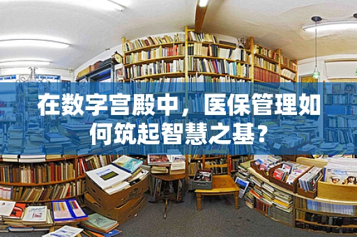 在数字宫殿中，医保管理如何筑起智慧之基？
