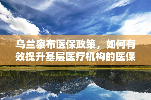 乌兰察布医保政策，如何有效提升基层医疗机构的医保服务水平？