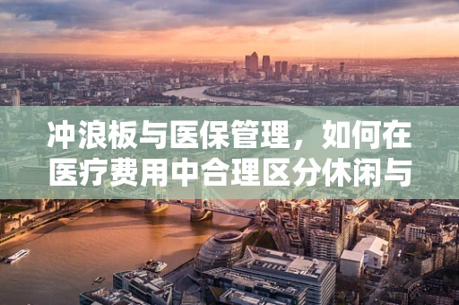 冲浪板与医保管理，如何在医疗费用中合理区分休闲与治疗支出？