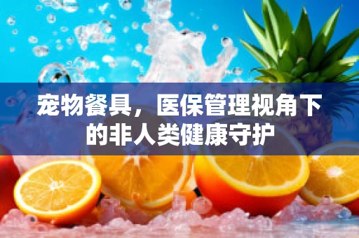 宠物餐具，医保管理视角下的非人类健康守护