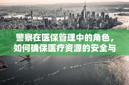 警察在医保管理中的角色，如何确保医疗资源的安全与公正？