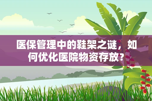 医保管理中的鞋架之谜，如何优化医院物资存放？