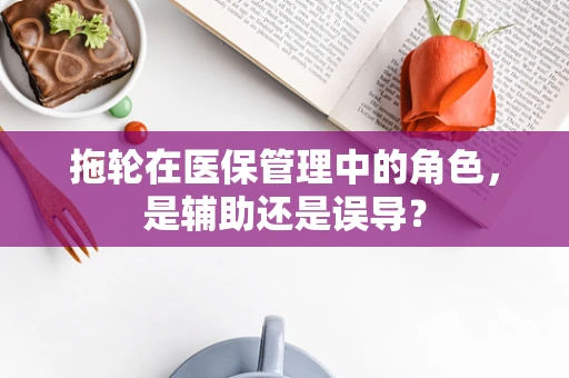 拖轮在医保管理中的角色，是辅助还是误导？