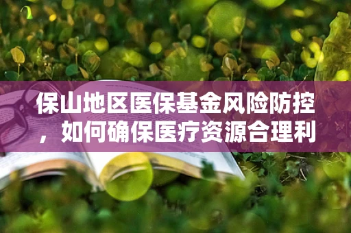 保山地区医保基金风险防控，如何确保医疗资源合理利用？