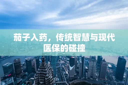 茄子入药，传统智慧与现代医保的碰撞