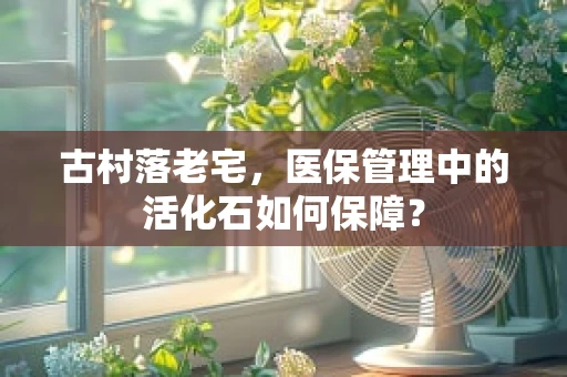 古村落老宅，医保管理中的活化石如何保障？