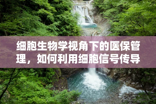 细胞生物学视角下的医保管理，如何利用细胞信号传导优化医疗资源分配？