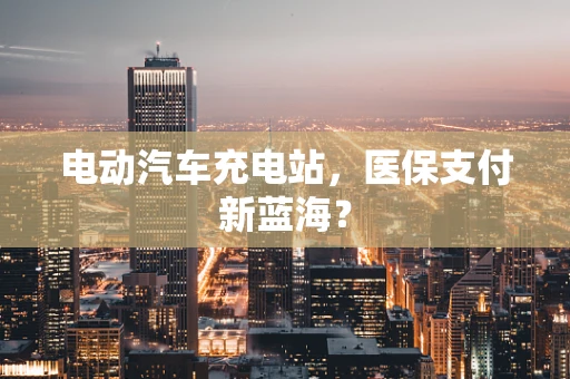 电动汽车充电站，医保支付新蓝海？