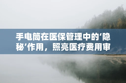 手电筒在医保管理中的‘隐秘’作用，照亮医疗费用审核的每一个细节