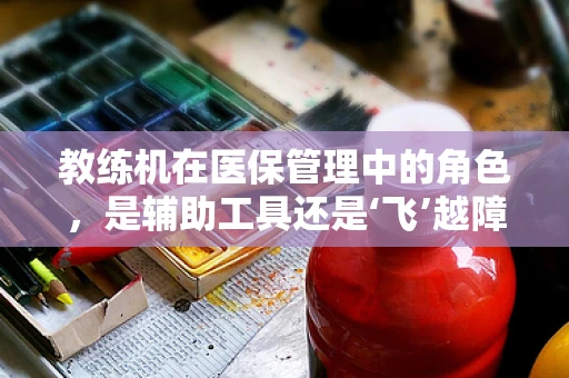 教练机在医保管理中的角色，是辅助工具还是‘飞’越障碍的翅膀？