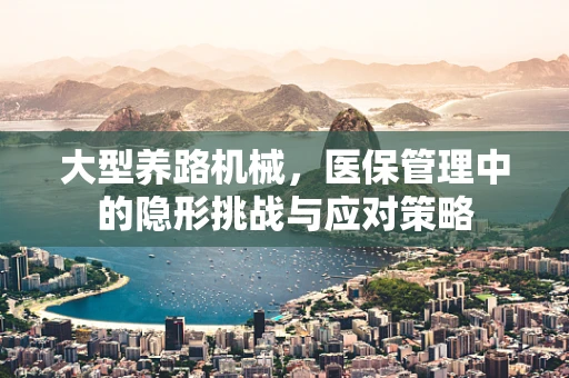 大型养路机械，医保管理中的隐形挑战与应对策略