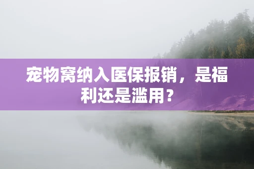 宠物窝纳入医保报销，是福利还是滥用？