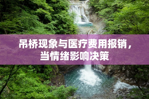 吊桥现象与医疗费用报销，当情绪影响决策