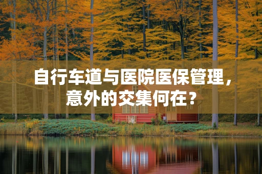 自行车道与医院医保管理，意外的交集何在？