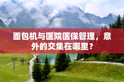 面包机与医院医保管理，意外的交集在哪里？
