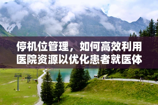 停机位管理，如何高效利用医院资源以优化患者就医体验？