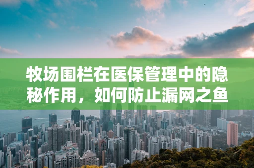牧场围栏在医保管理中的隐秘作用，如何防止漏网之鱼？