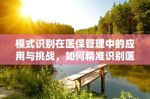 模式识别在医保管理中的应用与挑战，如何精准识别医疗欺诈行为？