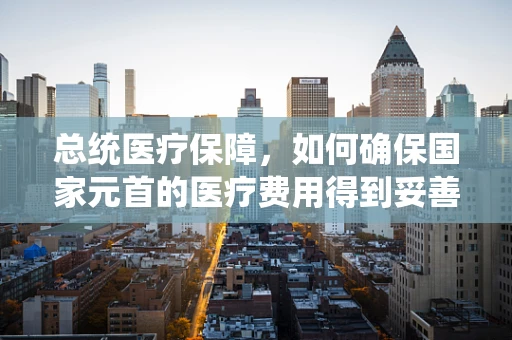总统医疗保障，如何确保国家元首的医疗费用得到妥善管理？