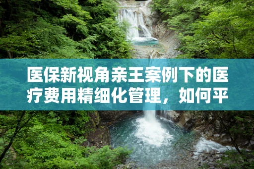 医保新视角亲王案例下的医疗费用精细化管理，如何平衡尊贵服务与成本控制？
