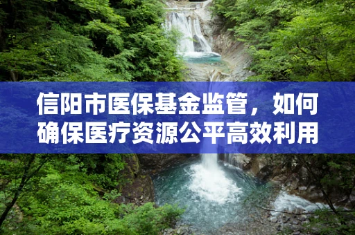 信阳市医保基金监管，如何确保医疗资源公平高效利用？