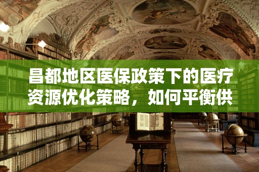 昌都地区医保政策下的医疗资源优化策略，如何平衡供需？