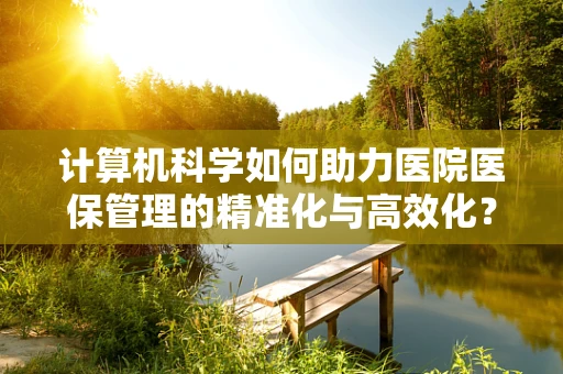计算机科学如何助力医院医保管理的精准化与高效化？