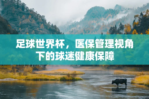 足球世界杯，医保管理视角下的球迷健康保障