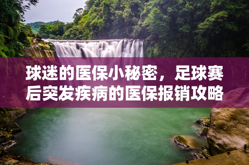 球迷的医保小秘密，足球赛后突发疾病的医保报销攻略