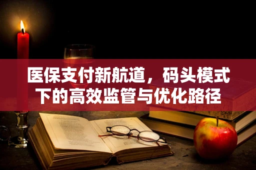 医保支付新航道，码头模式下的高效监管与优化路径