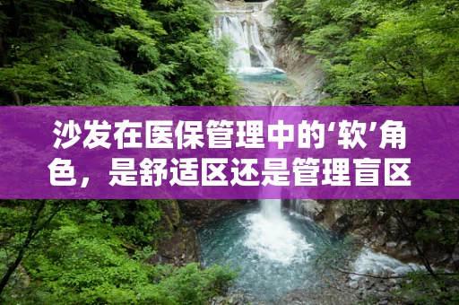 沙发在医保管理中的‘软’角色，是舒适区还是管理盲区？