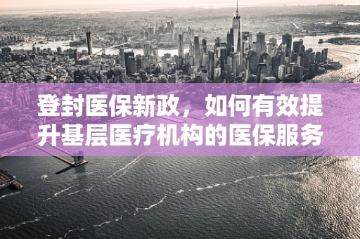登封医保新政，如何有效提升基层医疗机构的医保服务效率？