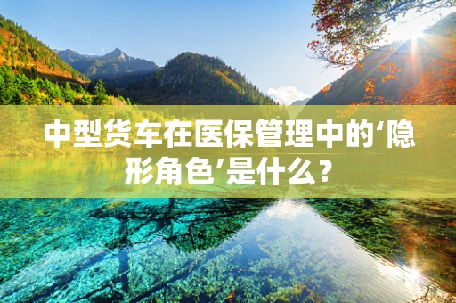中型货车在医保管理中的‘隐形角色’是什么？