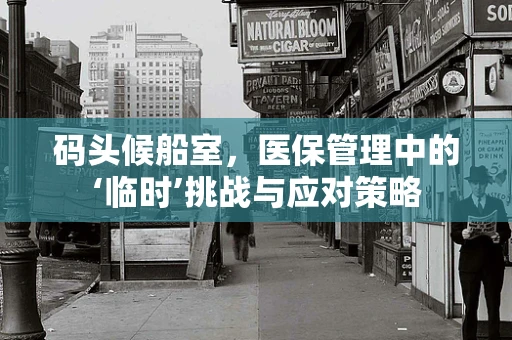 码头候船室，医保管理中的‘临时’挑战与应对策略