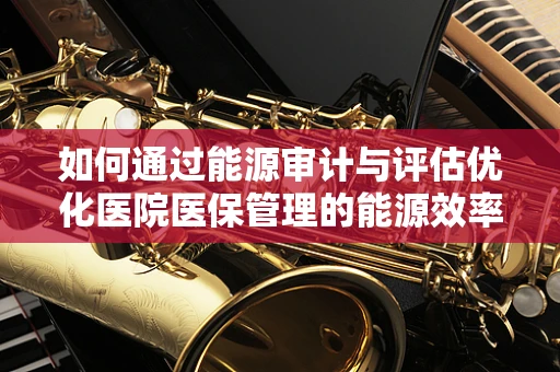 如何通过能源审计与评估优化医院医保管理的能源效率？