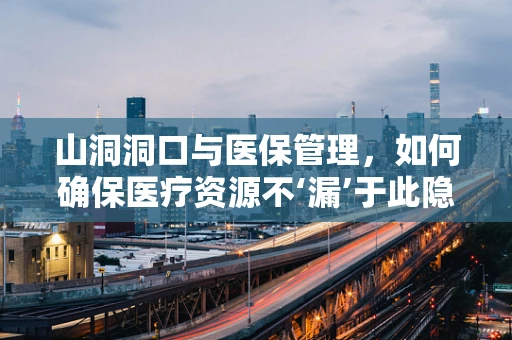 山洞洞口与医保管理，如何确保医疗资源不‘漏’于此隐秘角落？