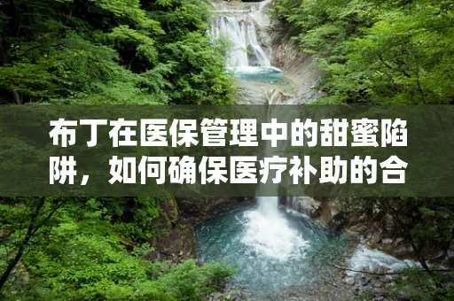布丁在医保管理中的甜蜜陷阱，如何确保医疗补助的合理使用？