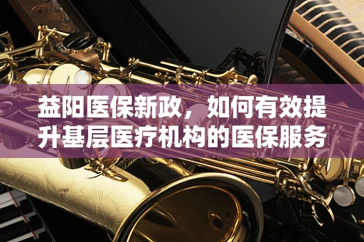 益阳医保新政，如何有效提升基层医疗机构的医保服务水平？